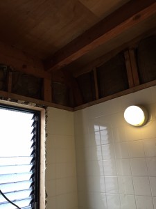 浴室 天井面 2017-12-11-12.18.16-e1513058835185
