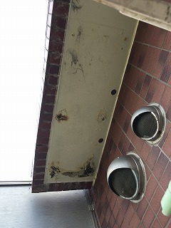 雨漏り箇所のベランダ屋根2