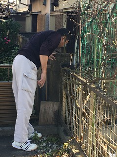 土地調査　境界の確認