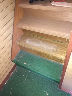 階段のカーペット剥がす
